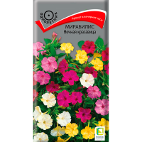 Мирабилис (ялапа) Ночная красавица (ЦВ) (1) 2,5гр