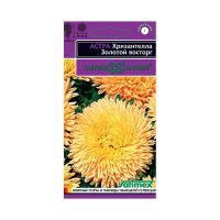 Га019950 Астра Хризантелла Золотой восторг (хризантемовидная) 0,05 г Н20