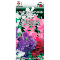 Душистый Горошек Колорама