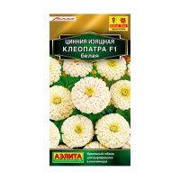 02Аэ1528 Цинния Клеопатра F1 белая