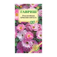 Га014716 Роза китайская  Крылья ангела 5 шт. серия Элитная клумба