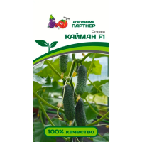 Огурец КАЙМАН F1 (10шт)