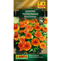Цинния Тополино бронзовая