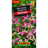 Маттиола Лилак