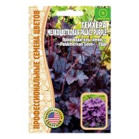 02Гр2974 Гейхера Palace Purple мелкоцветковая PanAm 10 шт. NDS