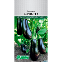 Баклажан БЕРНАР F1
