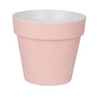 ПР17-20 Протея 2.3л Розово-белый пласт.горш. d17 h15,5  с вкладкой 12шт-коробка