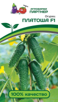 v8_24C0_3514d