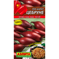 Лук Шалот Цебруне