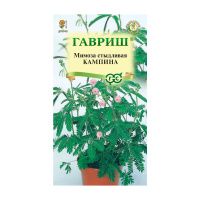 Га031327 Мимоза стыдливая Кампина 0,1 г