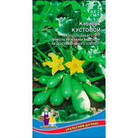 Кабачок Кустовой (УД)