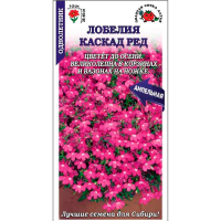 Лобелия Каскад ред
