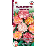 Гвоздика Шабо Пикоти Фентези смесь