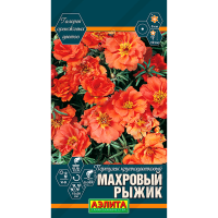 Портулак крупноцветковый Махровый Рыжик