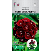 Гвоздика СВИТ БЛЭК ЧЕРРИ бородатая PanAm Seeds