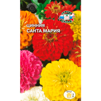 Цинния Санта-Мария (георгиновидная, смесь крупных цветов)