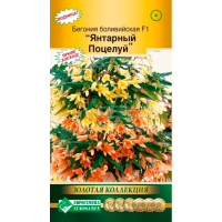 Бегония ЯНТАРНЫЙ ПОЦЕЛУЙ боливийская F1 (5 драже)