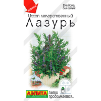 Иссоп лекарственный Лазурь