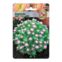 02Би2869 Астра китайская Бамбина Лайт Роз Дабл NDS