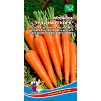 Морковь Чудо на Рекорд