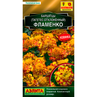 Тагетес отклоненный бархатцы Фламенко  Аэлита