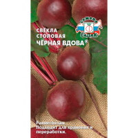 свёкла Чёрная Вдова (столовая)