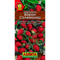 Земляника ремонтантная Барон Солемахер