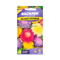 02Се2839 Цветы Василек Ясная Поляна многолетний