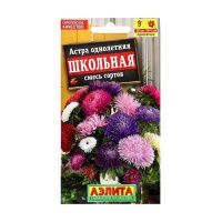 02Аэ1125 Астра Школьная, смесь сортов