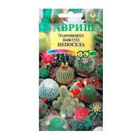 Га031326 Кактус Непоседа, Эхиноцереус, смесь 0,05 г
