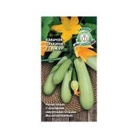 02Се4763 Кабачок Ажур F1 (Евро, 1  6821)