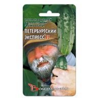 02Би2920 Огурец  Петербургский экспресс F1 NDS