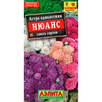 Астра Нюанс карликовая, смесь сортов