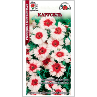 Гвоздика Карусель китайская