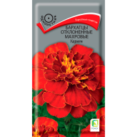Бархатцы отклоненные махровые (Тагетес отклонённый) Кармен ( ЦВ) (1) 0,4гр
