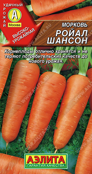 v8_24C0_35bfc