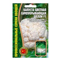 02Гр2996 Капуста цветная Шелли F1  10шт. NDS