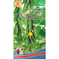 Огурец Боец - корнишон F1