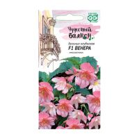 Га015522 Бегония Венера F1 клубневая, амп. гранул. 4 шт. пробирка, серия Чудесный балкон