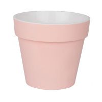 ПР14-20 Протея 1.4л Розово-белый пласт.горш. d14.5 h13 с вкладкой  22шт-коробка