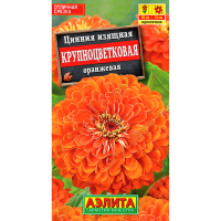 Цинния Крупноцветковая оранжевая