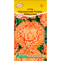 Астра КОРОЛЕВСКИЙ РАЗМЕР абрикосовая,пионовидная (0,1гр)
