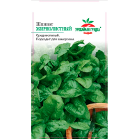 Шпинат Жирнолистный (МФ, 2)