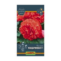 02Аэ1581 Бегония Мандариновая F1 5шт