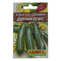 v8_24C0_33880