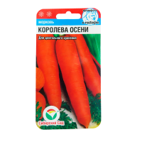 v8_24C0_34efe