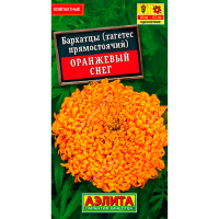 Бархатцы (тагетес прямостоячий) Оранжевый Снег