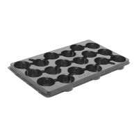 v8_24C0_35d77