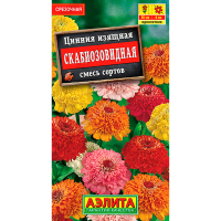 Цинния Скабиозовидная смесь сортов
