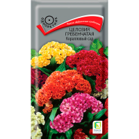 Целозия гребенчатая Коралловый сад (ЦВ) (1) 0,1гр